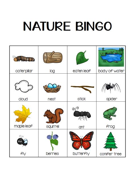 Printable Nature Bingo Cards